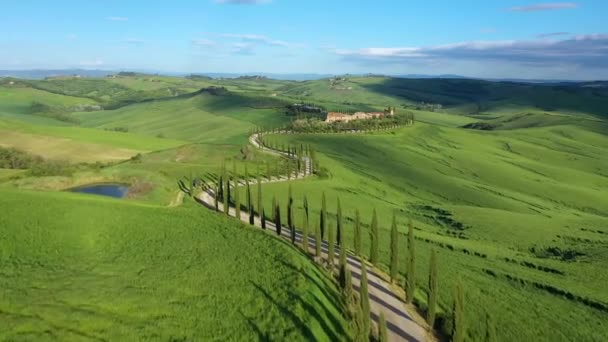 Italy Tuscany Val Orcia Siena Province Cypress Tree Road Leading — стоковое видео