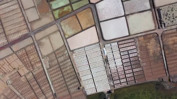 Spanje Canarische Eilanden Lanzarote Salinas Janubio Zoutfabriek — Stockvideo