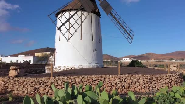 Hiszpania Wyspy Kanaryjskie Fuerteventura Tiscamanita Tradycyjny Wiatrak — Wideo stockowe