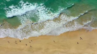 İspanya, Kanarya Adaları, Fuerteventura, Morro Jable, Playa del Matorral 'ın hava manzarası