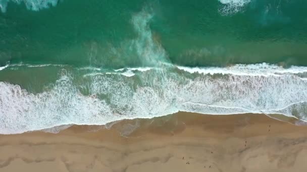 España Islas Canarias Fuerteventura Morro Jable Vista Aérea Playa Del — Vídeos de Stock