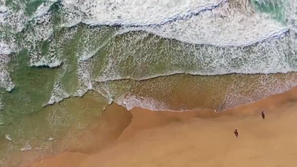 Spanya Kanarya Adaları Fuerteventura Morro Jable Playa Del Matorral Hava — Stok video