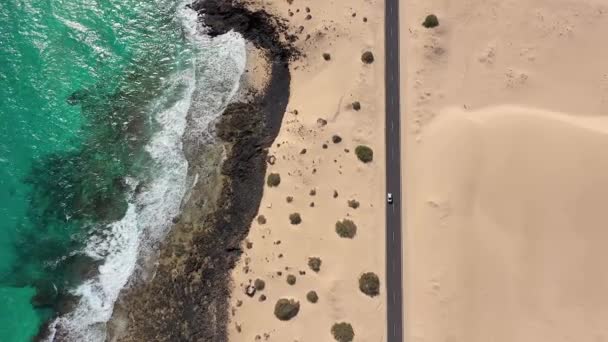 Spanya Kanarya Adaları Fuerteventura Corralejo Dunes Doğal Parkı Geçen Yol — Stok video