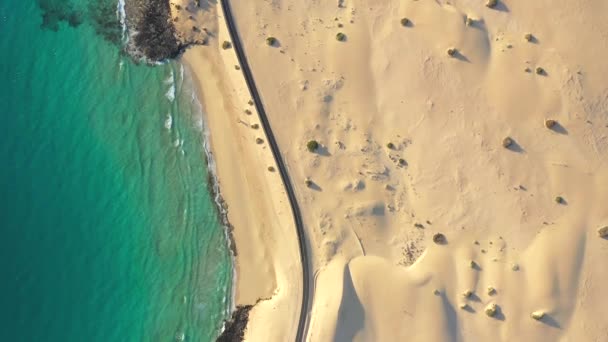 Hiszpania Wyspy Kanaryjskie Fuerteventura Widok Lotu Ptaka Przez Corralejo Dunes — Wideo stockowe
