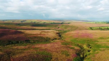 Birleşik Krallık, Devon, Exmoor Ulusal Parkı, fundalıkların hava manzarası  