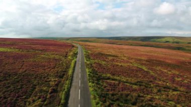 Birleşik Krallık, Devon, Exmoor Ulusal Parkı, fundalıkların hava manzarası  