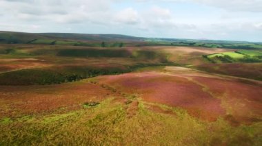 Birleşik Krallık, Devon, Exmoor Ulusal Parkı, fundalıkların hava manzarası  