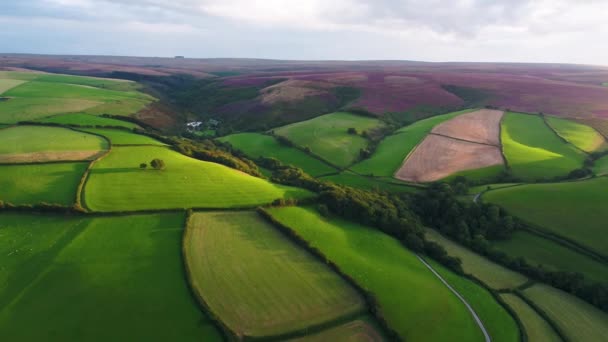 Inggris Devon Taman Nasional Exmoor Pandangan Udara Atas Moor — Stok Video