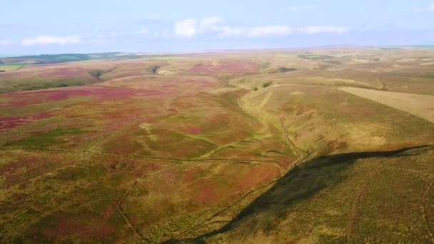 Verenigd Koninkrijk Devon Exmoor National Park Vanuit Lucht Uitzicht Heide — Stockvideo