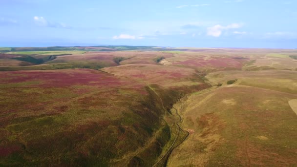 Birleşik Krallık Devon Exmoor Ulusal Parkı Fundalıkların Hava Manzarası — Stok video