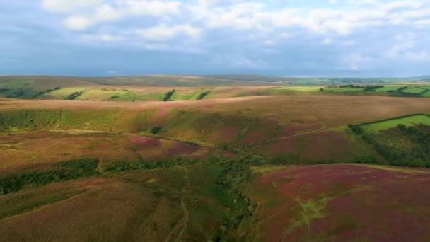 Reino Unido Devon Exmoor National Park Vista Aérea Sobre Pântanos — Vídeo de Stock