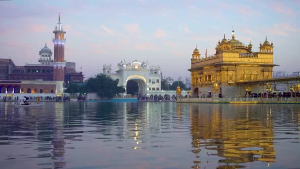 Jan 2018 Indie Punjab Amritsar Zlatý Chrám Harmandir Sahib Amrit — Stock video