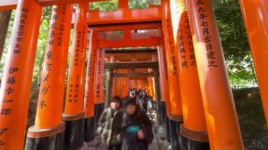 Fushimi Inari Tapınağı, Kyoto, Kansai Bölgesi, Honshu, Japonya 'nın kırmızı renkli Torii kapıları