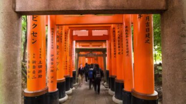 Fushimi Inari Tapınağı, Kyoto, Kansai Bölgesi, Honshu, Japonya 'nın kırmızı renkli Torii kapıları