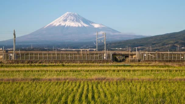 Japan Honshu Mount Fuji Shinkansen Bullet Train Passeert Geoogste Rijstvelden — Stockvideo