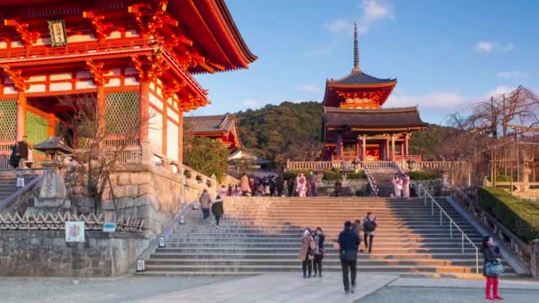 Japão Honshu Kyoto Templo Kiyomizu Dera Classificado Como Património Mundial — Vídeo de Stock