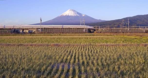 Japán Honshu Fuji Hegy Shinkansen Golyóvonat Áthalad Betakarított Rizsföldeken Hófödte — Stock videók