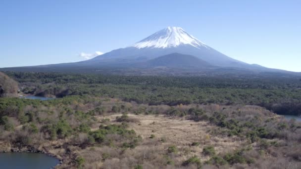 Fuji Fuji Hazone Izu National Park Japan — стокове відео