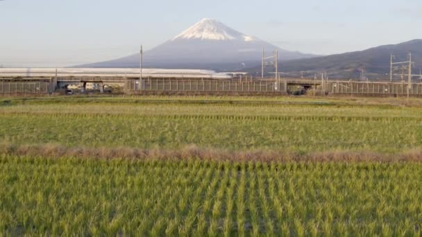 Japão Honshu Monte Fuji Shinkansen Bullet Train Passando Por Campos — Vídeo de Stock