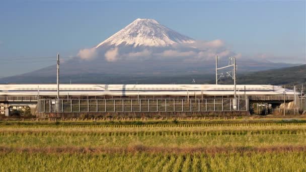 Japon Honshu Mont Fuji Shinkansen Bullet Train Passant Par Les — Video