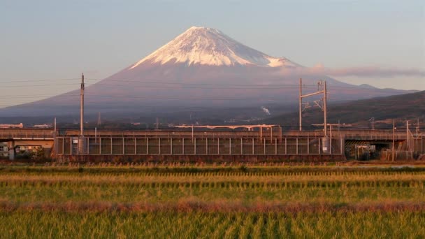 Japon Honshu Mont Fuji Shinkansen Bullet Train Passant Par Les — Video