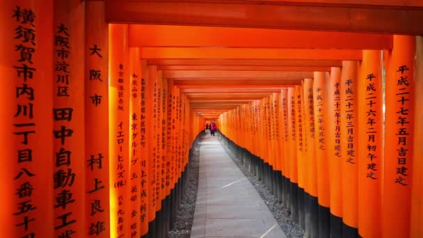 Vermilion Färgade Torii Portar Fushimi Enare Helgedom Kyoto Kansai Prefektur — Stockvideo