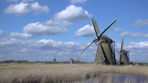 Windmühlen Kinderdijk Unesco Weltkulturerbe Niederlande Europa — Stockvideo