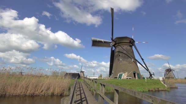 Wiatraki Kinderdijk Lista Światowego Dziedzictwa Unesco Holandia Europa — Wideo stockowe