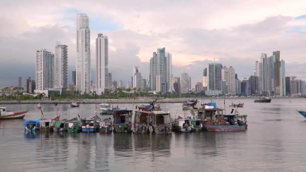 Skyline Cidade Cidade Panamá Panamá América Central — Vídeo de Stock