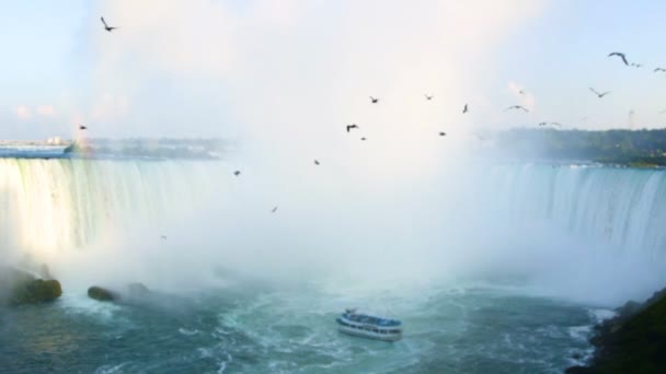 Barco Turístico Pasando Cascada Las Aves Están Volando — Vídeos de Stock