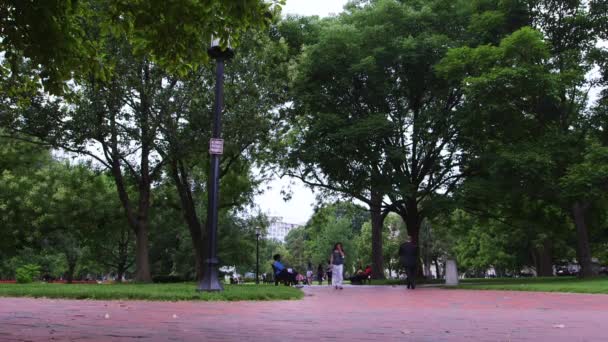 Vista Panorâmica Das Pessoas Que Descansam Parque Washington Eua — Vídeo de Stock