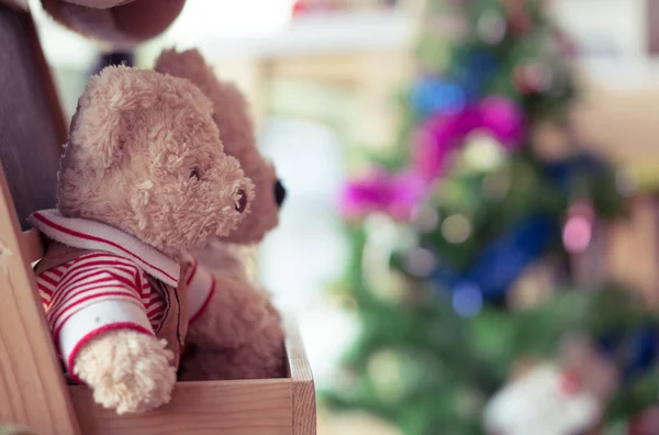 Couple of Teddy Bears sitting in the wood — Stock Photo, Image