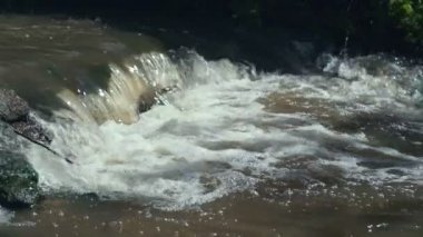 Küçük şelale tropik orman kayalarda üzerinden geçişli. Ağır çekim