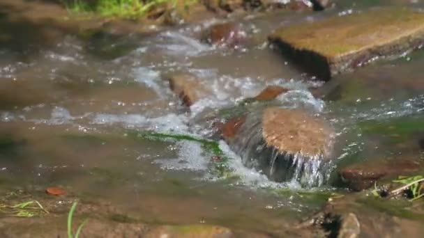 Små vattenfall kaskad över stenar i tropisk skog. Slow motion — Stockvideo