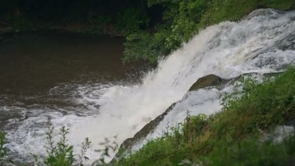 Kleine waterval trapsgewijs over rotsen in tropisch bos. Slow motion — Stockvideo