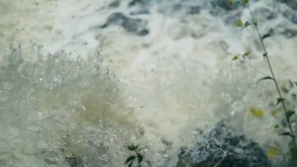 Primer plano Agua cayendo sobre piedras, cascada. Movimiento lento — Vídeos de Stock