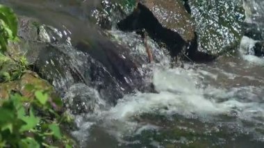 Küçük şelale tropik orman kayalarda üzerinden geçişli. Ağır çekim