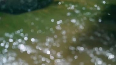 Dışarı güzel bokeh arka plan ile ışık ışık Slowmo ile netleme