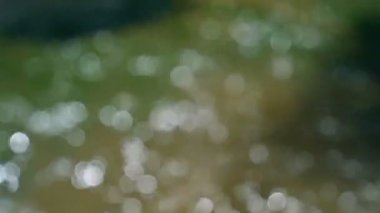 Dışarı güzel bokeh arka plan ile ışık ışık Slowmo ile netleme