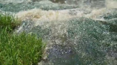 Küçük şelale tropik orman kayalarda üzerinden geçişli. Ağır çekim