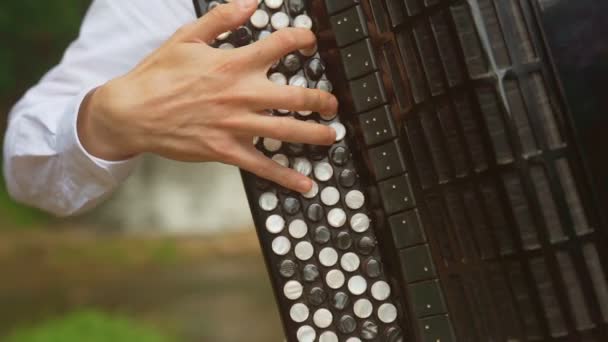 İki müzisyen piyanist ve şelale taşlara oynamaya bandurist — Stok video