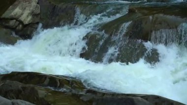 Doğal kaynak damla ağır çekimde düşmek. Su damlamasını ve sonbaharda damla akar