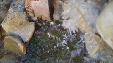 Doğal kaynak damla ağır çekimde düşmek. Su damlamasını ve sonbaharda damla akar