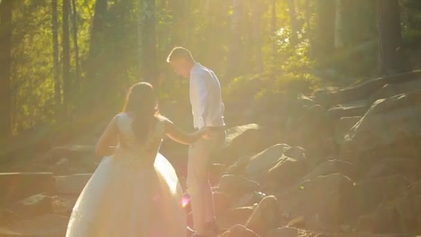 Elegante glückliche Hochzeitspaar küsst sich im Wald bei Sonnenuntergang — Stockvideo