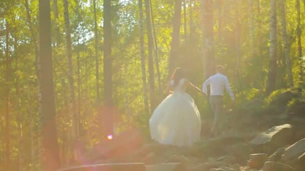 Elegante felice coppia di nozze baciare nella foresta al tramonto — Video Stock