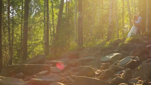 Elegante gelukkig bruidspaar zoenen in het forest op zonsondergang — Stockvideo