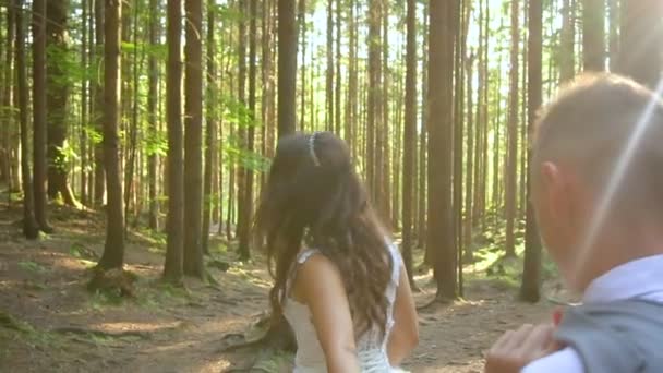 Zarif mutlu evlilik çift ormanda günbatımı üzerinde öpüşme — Stok video