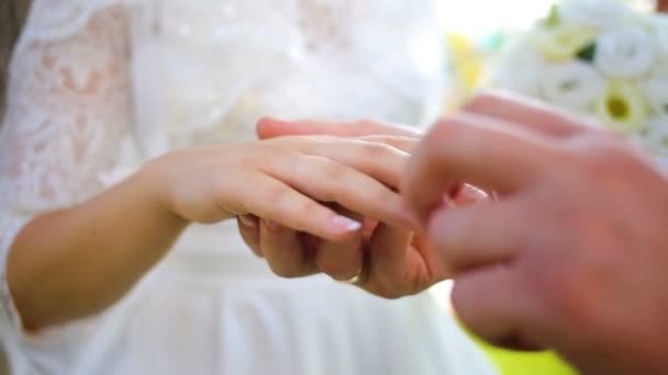 Casal de mãos dadas enquanto caminhava ao longo do parque ensolarado e ternamente beijando — Vídeo de Stock
