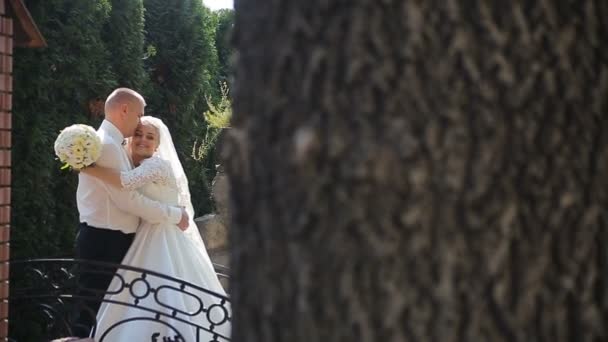 Paar hält Händchen beim Spaziergang im sonnigen Park und küsst sich zärtlich — Stockvideo