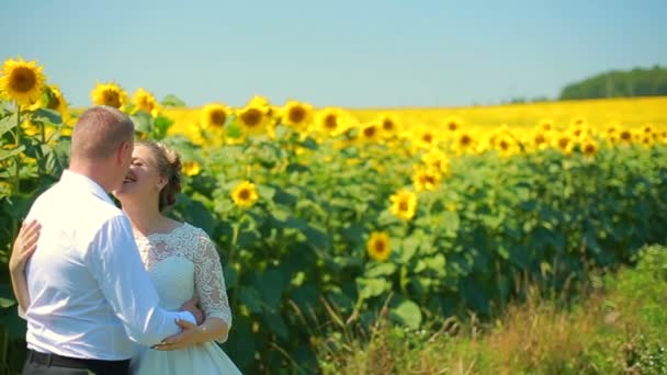 Joyeux couple courant sur le champ de tournesol, prenant les mains et souriant . — Video